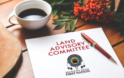 Land Advisory Committee (LAC)