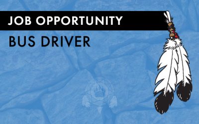 Job Opportunity: Bus Driver