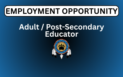 Adult/Post-Secondary Educator
