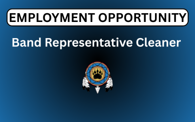 Band Representative Cleaner