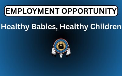 Healthy Babies, Healthy Children