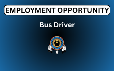 Bus Driver