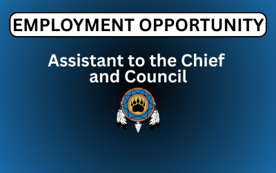 Assistant to Chief and Council