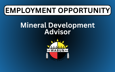 Mineral Development Advisor