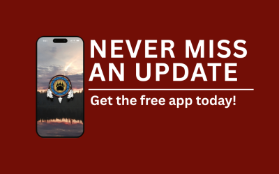 Never Miss an Update