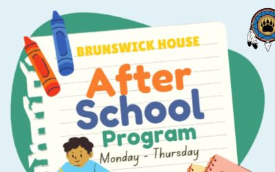 After School Program Surveys