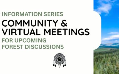 Forest Information Sessions