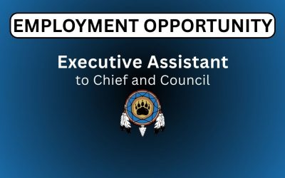 Executive Assistant