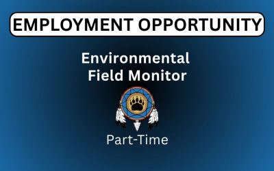 Environmental Field Monitor