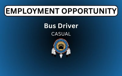 Bus Driver – Casual