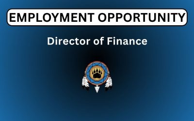 Director of Finance