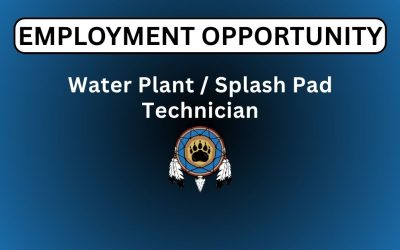 Water Plant/Splash Pad Technician