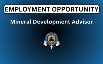 Mineral Development Advisor