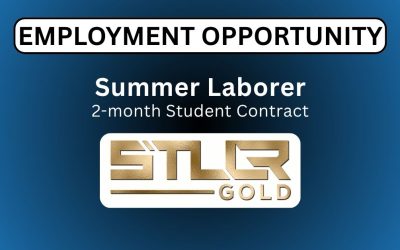 Summer Student Position
